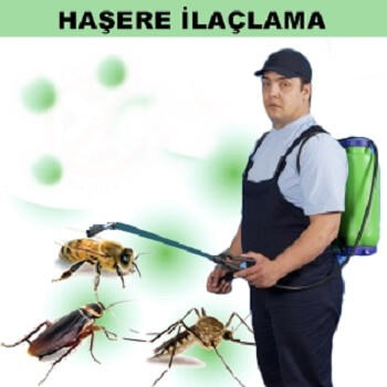 Balıkesir Böcek İlaçlama